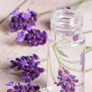 lavender-hydrosol